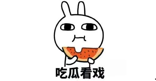 娱乐吃瓜鹅君,揭秘娱乐圈那些不为人知的幕后故事