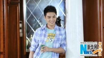 陶之恋演员表,众星云集，演绎一段浪漫传奇