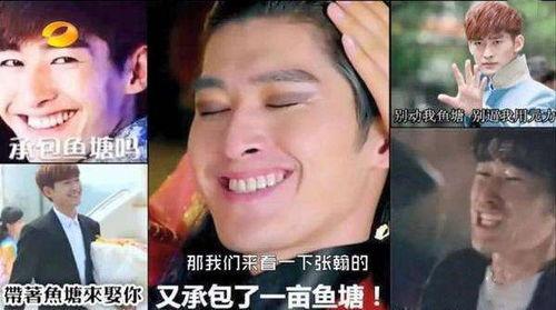 张翰回应表情包,幽默化解争议，展现明星风度